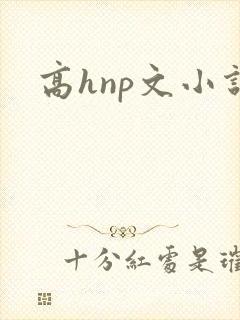 高hnp文小说