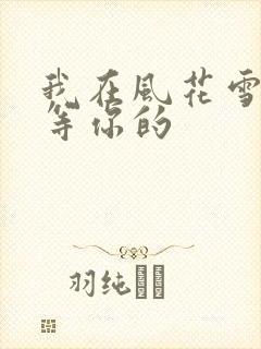 我在风花雪月里等你的