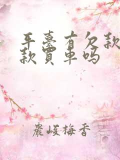 平台有欠款能贷款买车吗