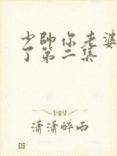 少帅你老婆又跑了第二集