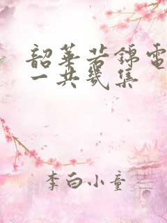 韶华若锦电视剧一共几集