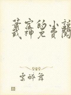 萧宸的小说荒古武神免费阅读