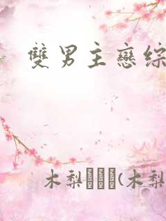 双男主恋综推文