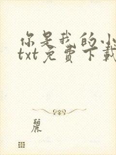 你是我的小确幸txt免费下载