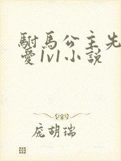 驸马公主先婚后爱1v1小说