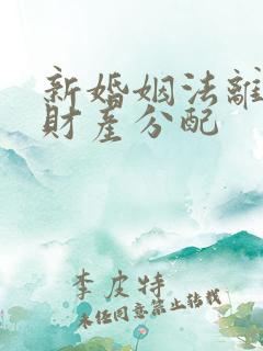 新婚姻法离婚后财产分配