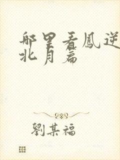 哪里看凤逆天下北月篇