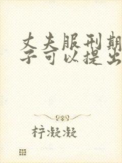 丈夫服刑期间妻子可以提出离婚吗