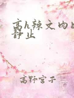 高h辣文肉时间静止