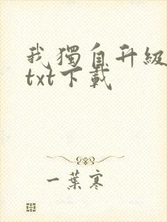 我独自升级原著txt下载