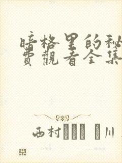 暗格里的秘密免费观看全集电视剧