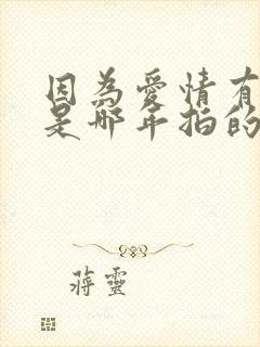 因为爱情有奇迹是哪年拍的