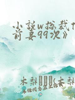 小说w总裁倒追前妻99次》