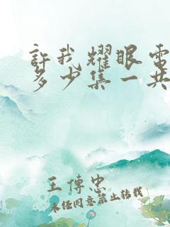 许我耀眼电视剧多少集一共