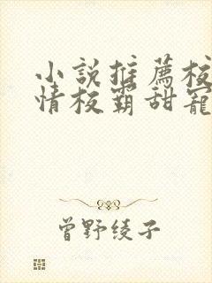 小说推荐校园言情校霸甜宠