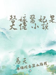 替嫁医妃是满级大佬 小说