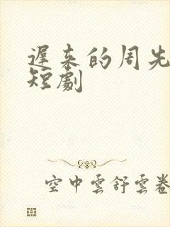 迟来的周先生 短剧