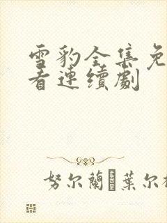 雪豹全集免费观看连续剧