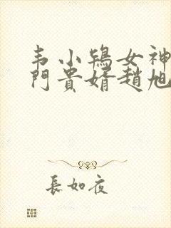 韦小鸨女神的上门贵婿赵旭