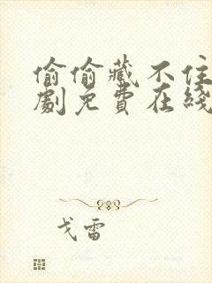 偷偷藏不住电视剧免费在线播放