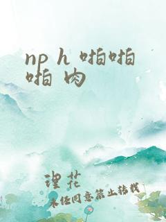 np h 啪啪啪 肉