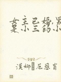 女主已婚,男主是小三的小说