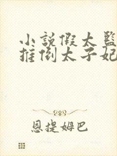 小说假太监:从推倒太子妃开始李显无弹窗