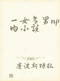 一女多男np纯肉小说