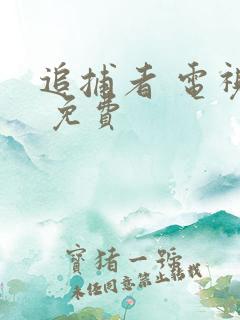 追捕者 电视剧 免费