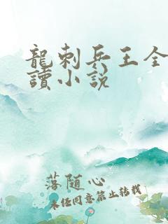 龙刺兵王全文阅读小说