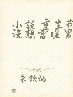 小说 重生我真没想当暖男