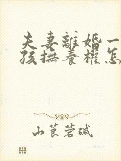 夫妻离婚一个小孩抚养权怎么判