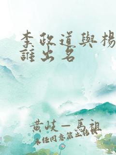 李政道与杨振宁谁出名