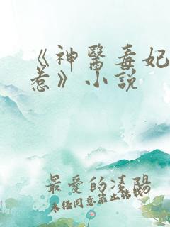 《神医毒妃不好惹》小说