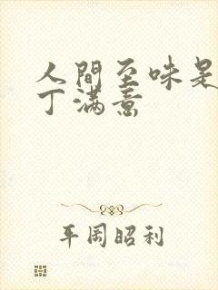 人间至味是清欢丁满意