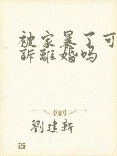 被家暴了可以起诉离婚吗