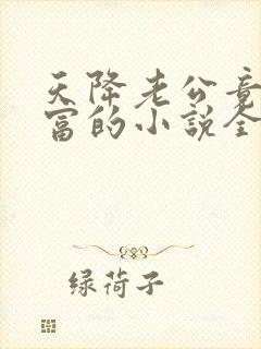 天降老公竟是首富的小说全文阅读