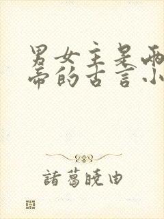 男女主是两国皇帝的古言小说