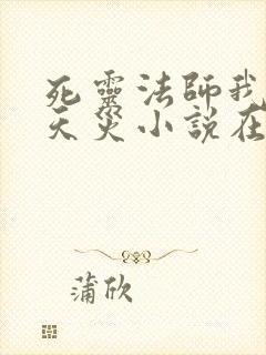 死灵法师我即是天灾小说在线阅读