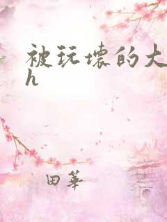 被玩坏的大小姐h