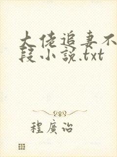 大佬追妻不择手段小说.txt