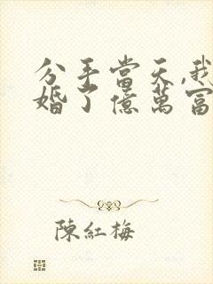 分手当天,我闪婚了亿万富豪全集