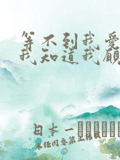 等不到我爱的人我知道我愿意再等歌词