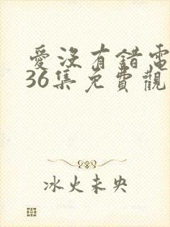 爱没有错电视剧36集免费观看剧情