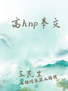 高hnp拳交