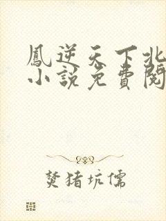 凤逆天下北月篇小说免费阅读