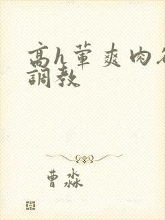 高h荤爽肉欲文调教