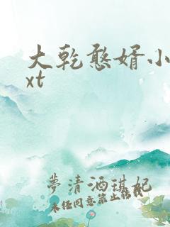 大乾憨婿小说txt