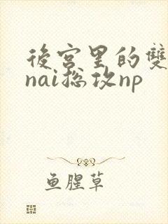 后宫里的双性大nai总攻np