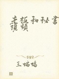 老板和秘书亲吻视频